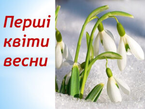 Першоцвіти Першоцвіти